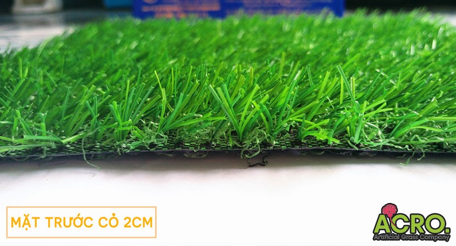 mua thảm cỏ nhân tạo 2cm